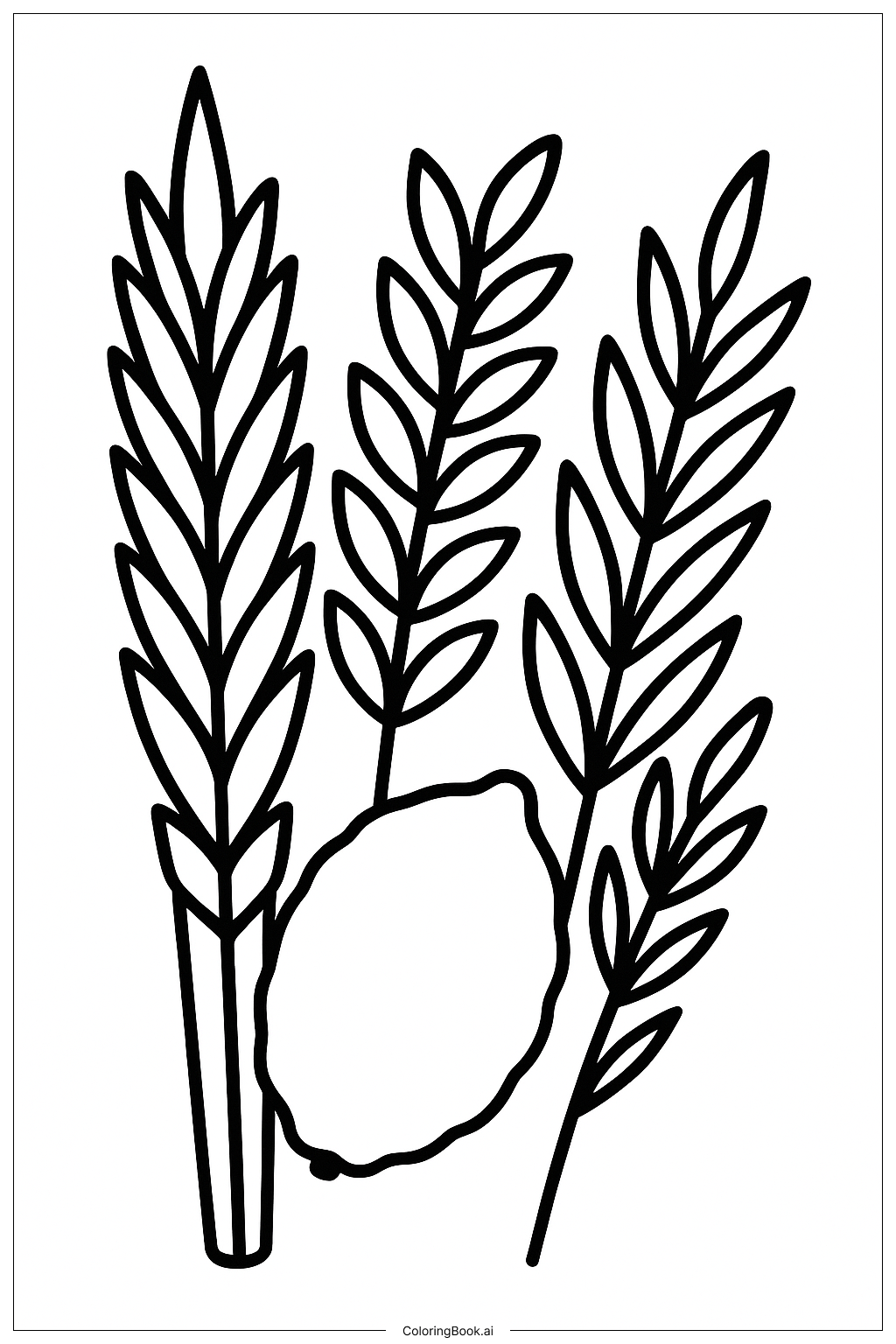  スコットの四つの種の塗り絵ページ 