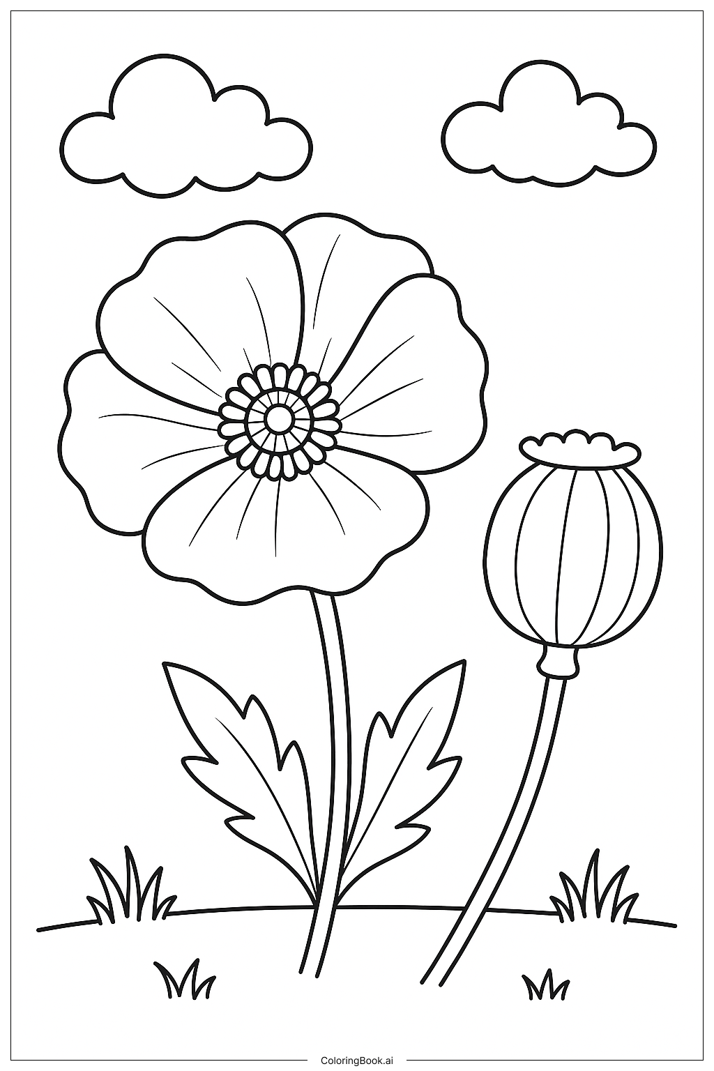  Trang tô màu Hoa Anh Túc Và Quả Hạt 