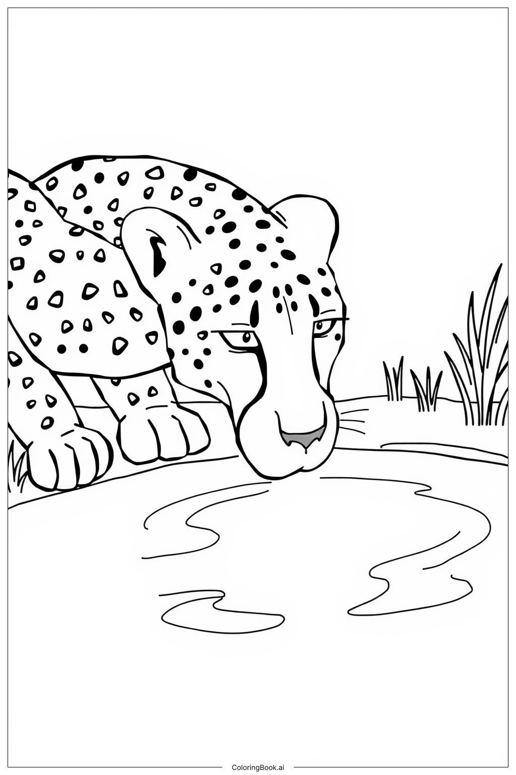  Page de coloriage guépard buvant de l'eau 