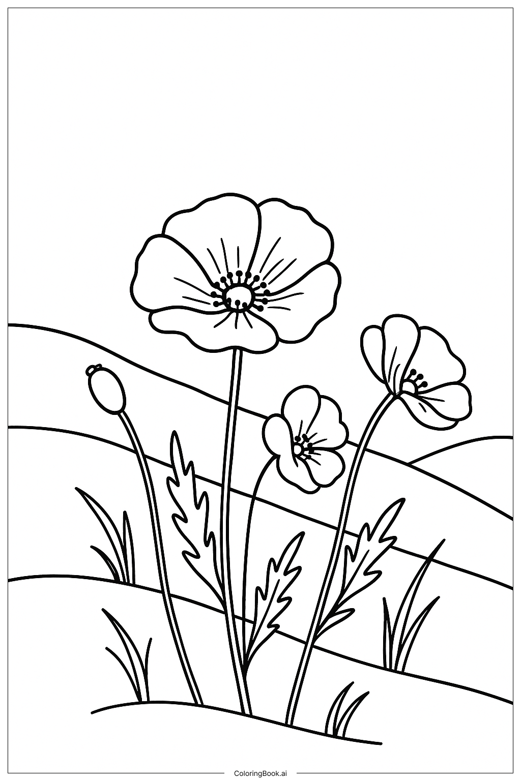  Trang tô màu Hoa Anh Túc Dại Trên Sườn Đồi 