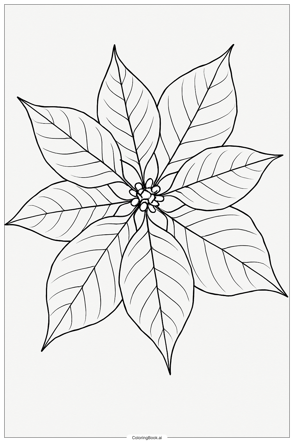 Large Poinsettia Leaves Outline Coloring Page