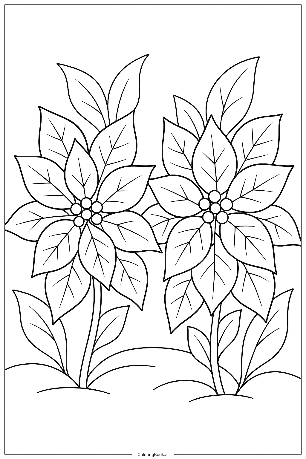 Two Poinsettias Side By Side Coloring Page