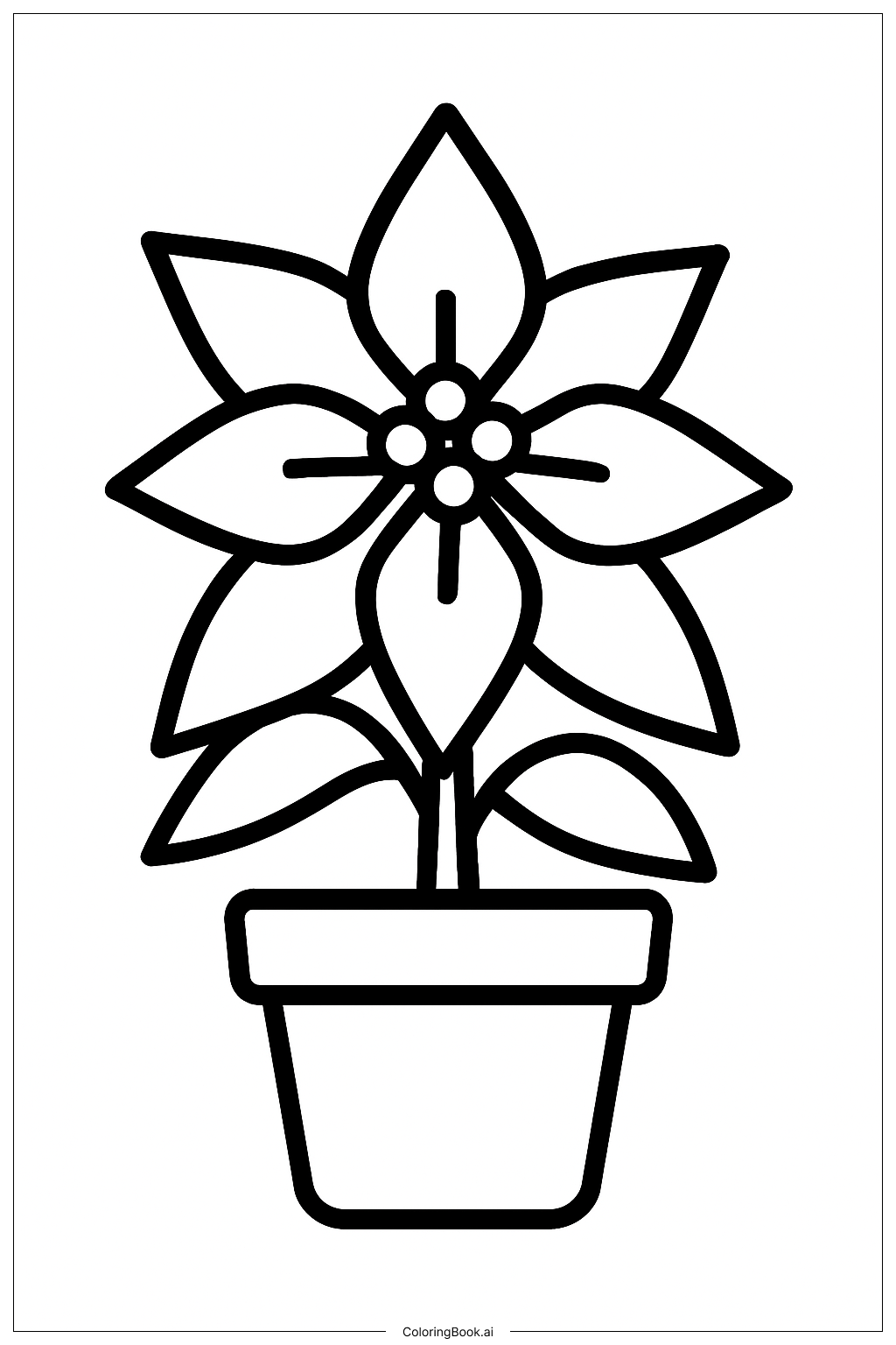 A Baby Poinsettia Plant Coloring Page