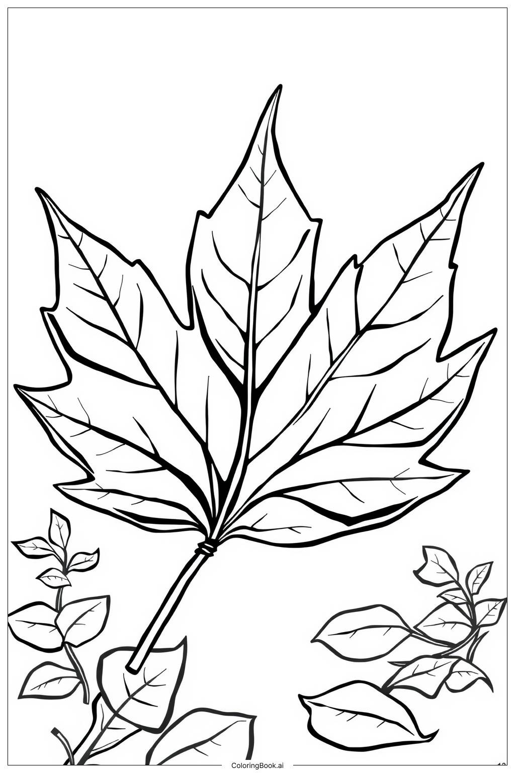  Page de coloriage Feuille d'érable avec surface texturée 