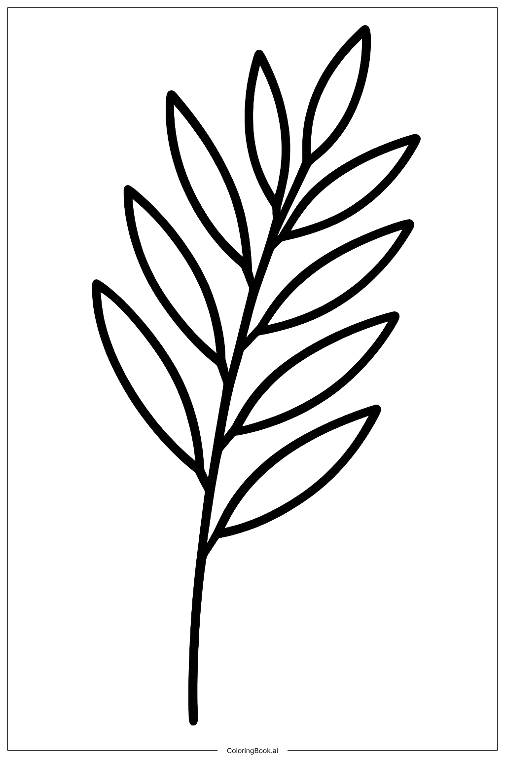  一つのスコット柳の枝の塗り絵ページ 