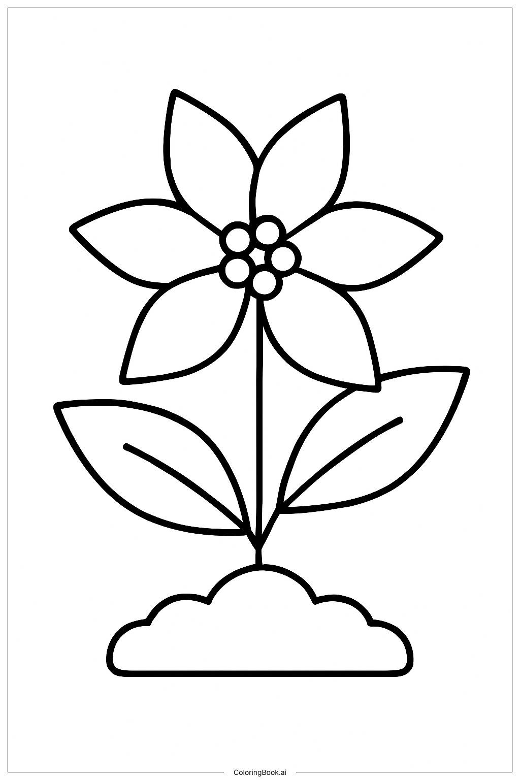 Poinsettia Blooming From Soil Coloring Page
