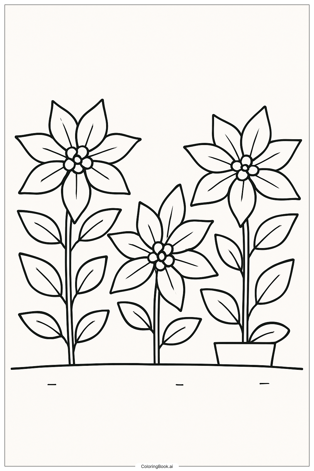 A Row Of Poinsettia Plants Coloring Page