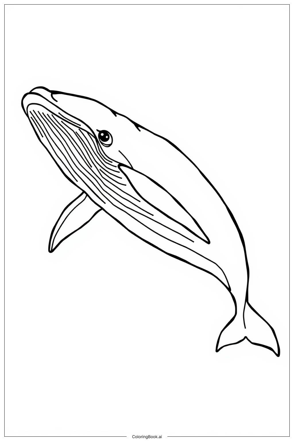  Humpback Whale Leaping from the Water Coloring Page 