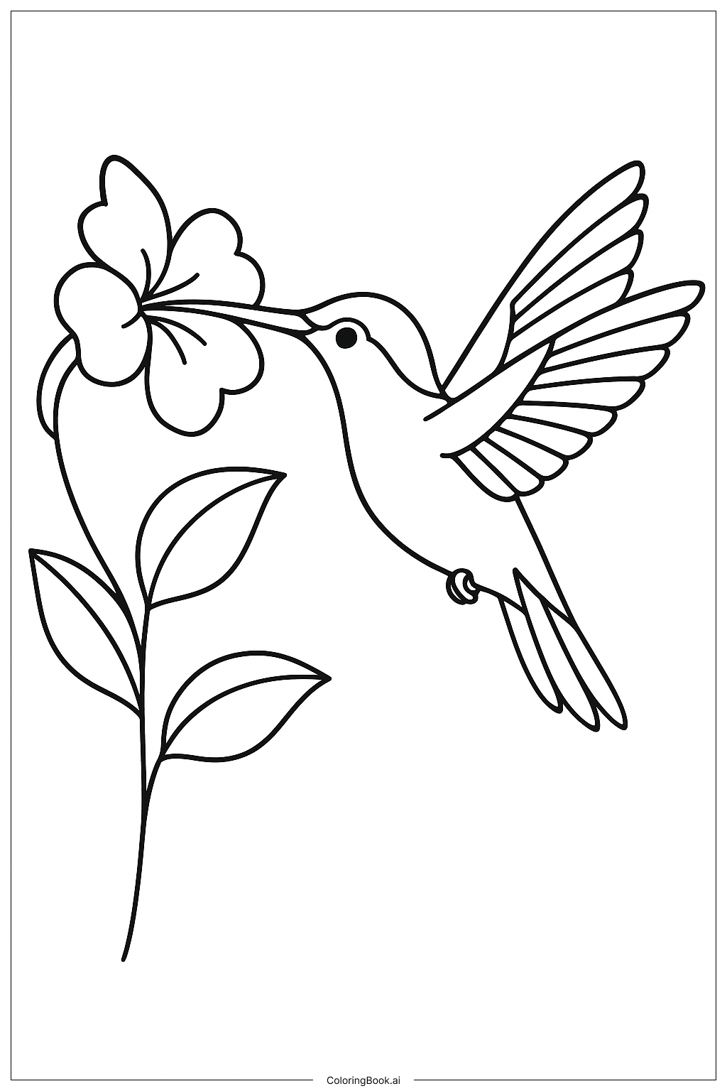  蜂鳥吮吸花蜜著色頁 