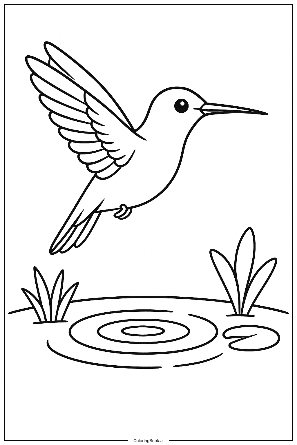 蜂鸟飞过小池塘填色页