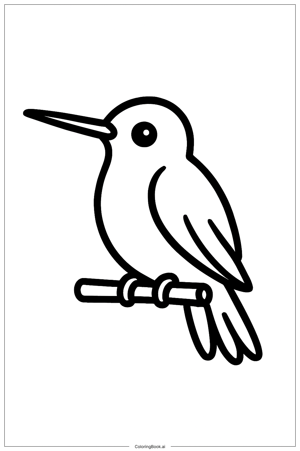 Beija-flor Pousado no Galho