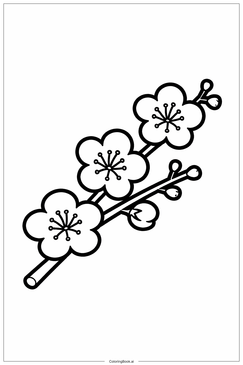  农历新年梅花填色页 