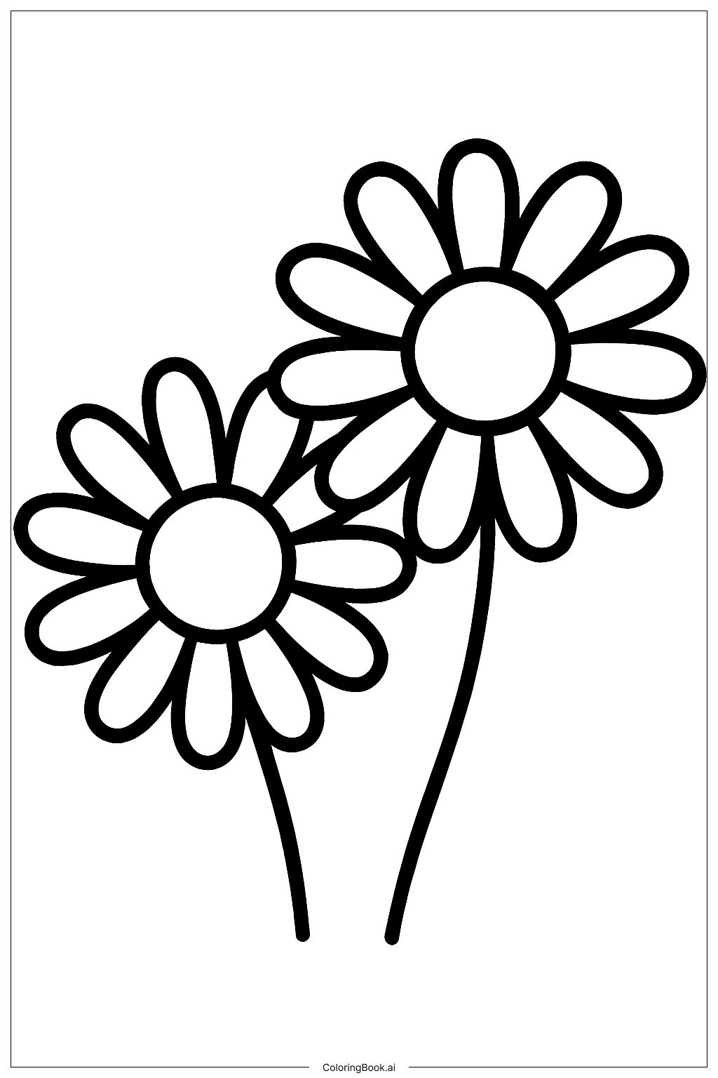  Pair Of Daisies Coloring Page 