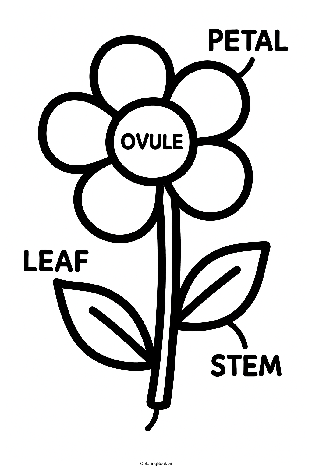  科学花朵示意图填色页 
